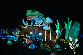Bernhard Saalfeld - ChinaLightKoelnerZoo2025 (7v9)